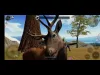 How to play Ultimate Wolf Simulator 2 (iOS gameplay)