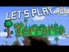 Terraria - Episode 20