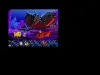 How to play Freddi Fish and The Stolen Shell (iOS gameplay)