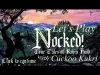 How to play Nocked! True Tales of Robin Hood (iOS gameplay)