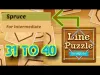 Level 31