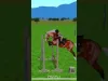 How to play Jumpy Horse Show Jumping (iOS gameplay)