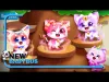 How to play Kitty Care : Cute Pet Care (iOS gameplay)