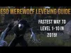 Werewolf - Level 110