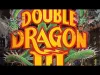 Double Dragon Trilogy - Part 3