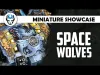 Space Wolves - Level 456