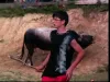 Bullfighting - Part 3
