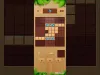 How to play Block Crush: Wood Block Puzzle (iOS gameplay)