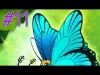 Flutter: Butterfly Sanctuary - Part 11
