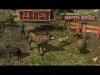 How to play Wolf Simulator 2 : Hunters Beware (iOS gameplay)