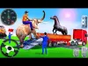 How to play Animal Rescue 3D (iOS gameplay)