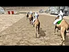 How to play Camel Race 3D (iOS gameplay)