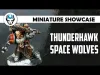 Space Wolves - Level 35