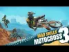 Mad Skills Motocross - Level 9