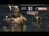 Level 81