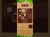 Block Crush: Wood Block Puzzle - Level 9