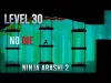 Ninja - Level 30