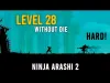 Ninja - Level 28