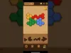 How to play Block Puzzle: Wood Collection (iOS gameplay)