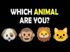 How to play Which Animal Are You? (iOS gameplay)