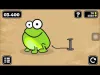 Tap The Frog - Level 13