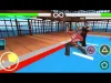 Karate Fighter - Level 23