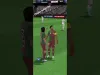 Level 203