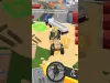 Level 29