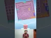 Level 243
