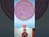 Level 233