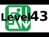 Level 43