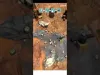 Level 5