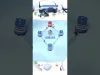 Level 24