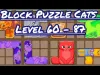 Level 60