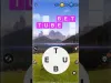 Level 24