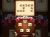 Level 13