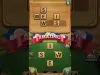 Level 17