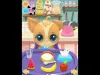 How to play Pet Baby Care (iOS gameplay)