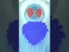 Level 15