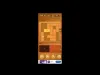 Level 43