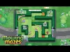 Level 31