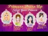 How to play Dress Up Princess (iOS gameplay)