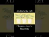 Chapter 4 level 5
