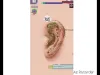 Level 15