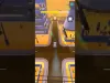 Level 232