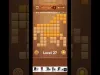 Level 27