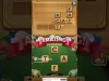 Level 28