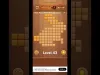 Level 43