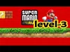 Level 3