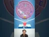 Level 85